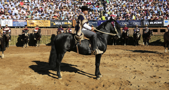 Peleco Caballero se adjudicó el Sello de Raza en el 69° Campeonato Nacional