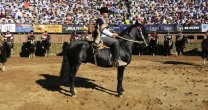 Peleco Caballero se adjudicó el Sello de Raza en el 69° Campeonato Nacional Peleco Caballero se adjudicó el Sello de Raza en el 69° Campeonato Nacional