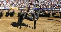 La elección del Sello de Raza en el Campeonato Nacional 2017 La elección del Sello de Raza en el Campeonato Nacional 2017