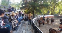 Asociación de Criadores de Concepción disfrutó con charla de funcionalidad racial Asociación de Criadores de Concepción disfrutó con charla de funcionalidad racial