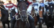 Asociación Linares prepara su tradicional festejo en el Estadio Español Asociación Linares prepara su tradicional festejo en el Estadio Español
