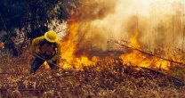 Las asociaciones de la Zona Norte entregaron forraje para ganaderos de Pumanque Las asociaciones de la Zona Norte entregaron forraje para ganaderos de Pumanque