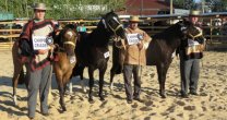 Gran interés por participar en almuerzo de los Criadores en Ñuble Gran interés por participar en almuerzo de los Criadores en Ñuble