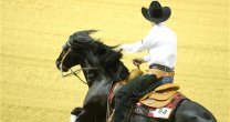 Gastón May expuso en Congreso Internacional: Fue una oportunidad de mostrar al caballo chileno al mundo Gastón May expuso en Congreso Internacional: Fue una oportunidad de mostrar al caballo chileno al mundo