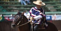 Asociación de Criadores de Maipo tiene este sábado su Día de Campo Asociación de Criadores de Maipo tiene este sábado su Día de Campo