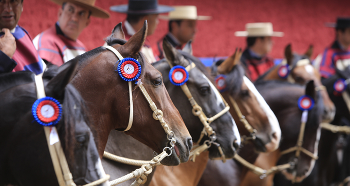 Cambios en las fechas de los Clasificatorios y el Campeonato Nacional 2018