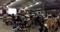 El intenso fin de semana que vivieron los corraleros de Arica y Tarapacá El intenso fin de semana que vivieron los corraleros de Arica y Tarapacá
