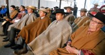 Asociación de Criadores de Maipo se reunió en la Medialuna de Hospital para disfrutar Día de Campo Asociación de Criadores de Maipo se reunió en la Medialuna de Hospital para disfrutar Día de Campo
