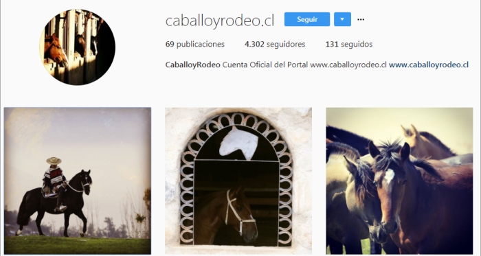 Sigue a CaballoyRodeo en Instagram para disfrutar atractivas fotografías