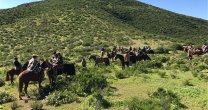 Así se vivió la Cabalgata de los Criadores de Coquimbo Así se vivió la Cabalgata de los Criadores de Coquimbo