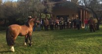 Criadores de Casablanca vivieron grata jornada en el Criadero Rihue Criadores de Casablanca vivieron grata jornada en el Criadero Rihue