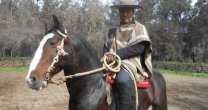 Ferocam quedó muy entusiasmada con Taller de Rienda Ferocam quedó muy entusiasmada con Taller de Rienda