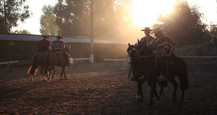 Alcaldes de comunas rurales de la Región Metropolitana defienden el rodeo en Fiestas Patrias