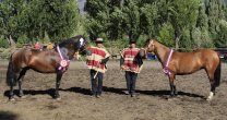Asociación de Criadores de Aysén tendrá interesante actividad en Coyhaique Asociación de Criadores de Aysén tendrá interesante actividad en Coyhaique