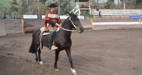 Agustín Villarroel: Hay que seguir trabajando para lograr el requisito en la Rienda Agustín Villarroel: Hay que seguir trabajando para lograr el requisito en la Rienda