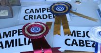 Criadores de Ñuble avanzan en Día de Campo, Exposición y Rodeo Criadores de Ñuble avanzan en Día de Campo, Exposición y Rodeo