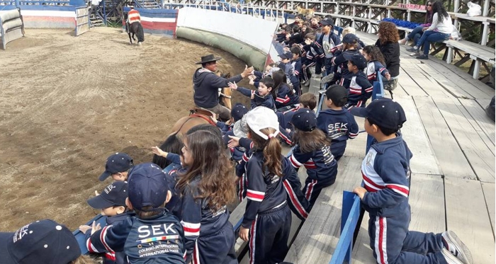 Programa Vivan Nuestras Tradiciones, una manera de acercar a los niños al Rodeo y al Caballo Chileno