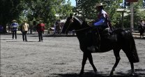 Asociación de Criadores de Bío-Bío prepara sus próximas actividades Asociación de Criadores de Bío-Bío prepara sus próximas actividades