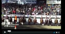 El espectacular fin de semana del Club San Clemente y la Asociación de Criadores de Talca El espectacular fin de semana del Club San Clemente y la Asociación de Criadores de Talca