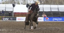 Gran Final de Rienda Internacional se realiza en Criadero Los Cóndores