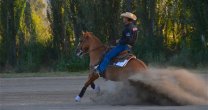 César Muñoz ganó Final de Rienda Internacional con caballo chileno y alto puntaje César Muñoz ganó Final de Rienda Internacional con caballo chileno y alto puntaje