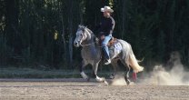 Pablo Campos se diversifica con buenos resultados Pablo Campos se diversifica con buenos resultados