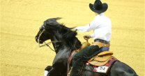 Principal desafío 2018 para la Rienda Internacional: Clasificar a los Juegos Mundiales Ecuestres Principal desafío 2018 para la Rienda Internacional: Clasificar a los Juegos Mundiales Ecuestres