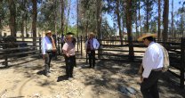 Marchigüe alista su casa para recibir a los Criadores Marchigüe alista su casa para recibir a los Criadores