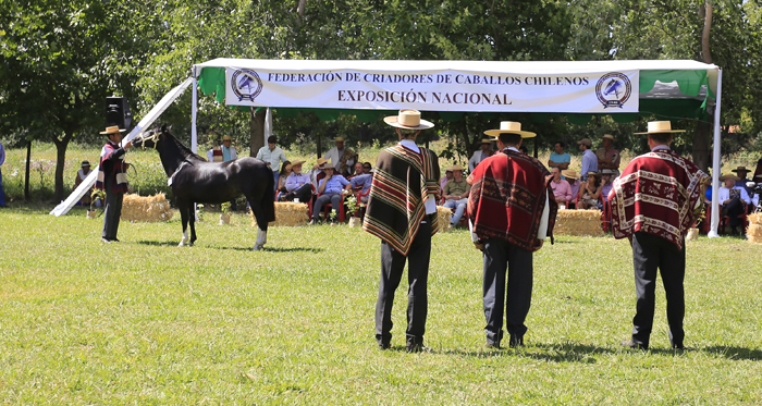 Federación de Criadores confirmó la terna de jurados para la Expo Nacional 2018