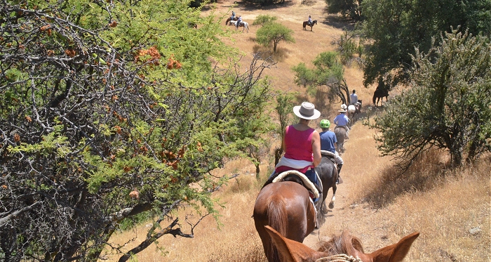 Despidieron el Año Viejo a caballo por la cordillera