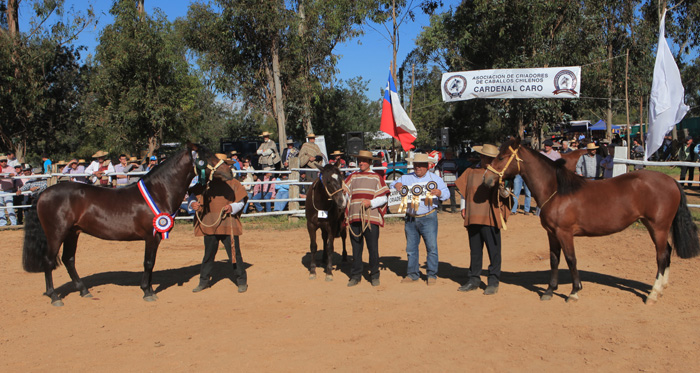 El programa de la Final de Rodeos Para Criadores 2018