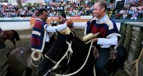 Palmas de Peñaflor espera con entusiasmo una nueva Final de Rodeos Para Criadores Palmas de Peñaflor espera con entusiasmo una nueva Final de Rodeos Para Criadores