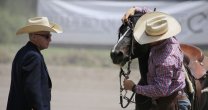 Jurado FEI: Jurado FEI: