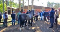 Criadores de Asociación Cauquenes vivieron gran experiencia en Collipulli Criadores de Asociación Cauquenes vivieron gran experiencia en Collipulli