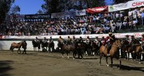 La Final de Rodeos Para Criadores acapara las miradas corraleras La Final de Rodeos Para Criadores acapara las miradas corraleras