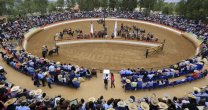 Las planillas de la Final de Rodeos Para Criadores 2018 Las planillas de la Final de Rodeos Para Criadores 2018