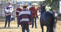 Resultados: Lindo Chico y Costurera, los mejores de la Exposición Nacional 2018 Resultados: Lindo Chico y Costurera, los mejores de la Exposición Nacional 2018