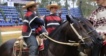 Quillaimo de Parral se lució en Parrillera y Farándula en Marchigüe Quillaimo de Parral se lució en Parrillera y Farándula en Marchigüe