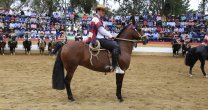 El Carmen de Nilahue Correspondida se llevó el Sello de Raza en Marchigüe El Carmen de Nilahue Correspondida se llevó el Sello de Raza en Marchigüe