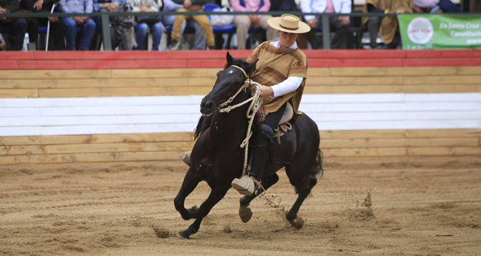 Romané Soto y Luis Gerardo Soto dieron prueba de su calidad en la Rienda