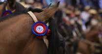 Paso a paso, la Serie de Campeones de la Final de Rodeos Para Criadores 2018 Paso a paso, la Serie de Campeones de la Final de Rodeos Para Criadores 2018