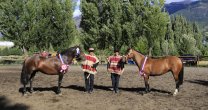 Criadores de Aysén suspendieron exposición por alerta de influenza equina Criadores de Aysén suspendieron exposición por alerta de influenza equina