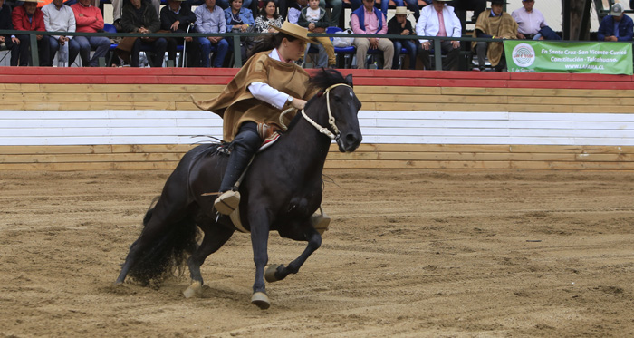 Romané Soto y Luis Gerardo Soto, talento puro en Rienda de la Final de Rodeos Para Criadores