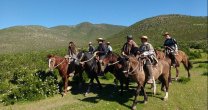 Criadores de Coquimbo tienen Día de Campo con interesantes charlas Criadores de Coquimbo tienen Día de Campo con interesantes charlas