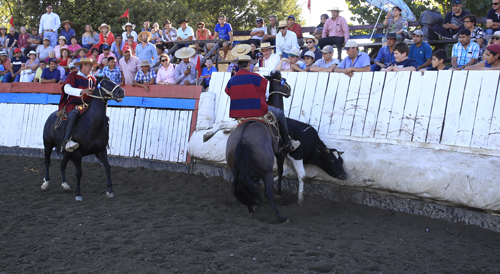 Imagen foto_00000005