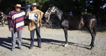 Marco Antonio Aguilar: Es importante que más criadores van apareciendo en Chiloé Marco Antonio Aguilar: Es importante que más criadores van apareciendo en Chiloé