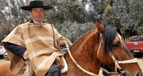 Alfonso Navarro sumó otra carta para los Clasificatorios en la Rienda Alfonso Navarro sumó otra carta para los Clasificatorios en la Rienda