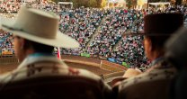 Ferochi convoca a medios de comunicación para su acreditación al 70º Campeonato Nacional de Rodeo Ferochi convoca a medios de comunicación para su acreditación al 70º Campeonato Nacional de Rodeo