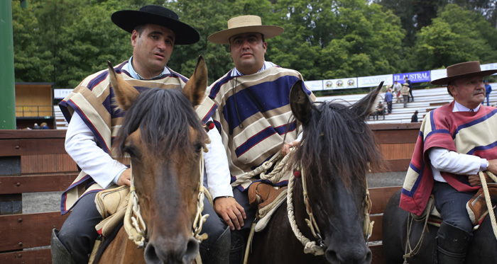 Peleco se lució en la Serie Criaderos de Lautaro y premió a las yeguas Mañanera y Polenta
