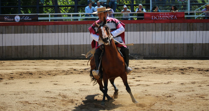 José Domingo Gamboa lideró la clasificación de la Rienda en San Fernando